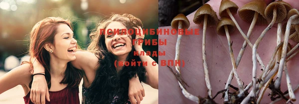 метамфетамин Алексеевка