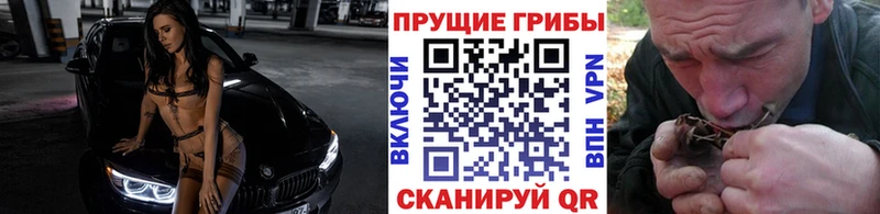 где купить наркотик  Поронайск  Галлюциногенные грибы мицелий 